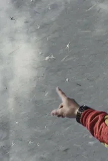 Фотография актёра Джои Логано