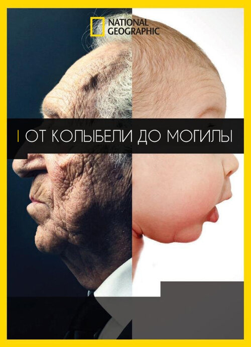 От колыбели до могилы смотреть онлайн